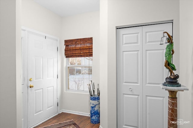 foyer entrance with dark wood-type flooring