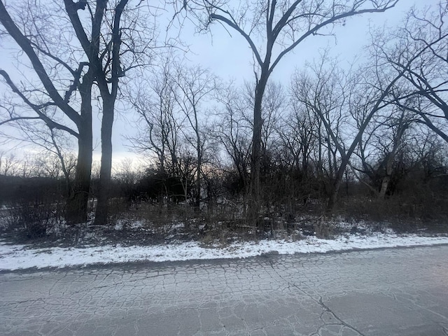 15801 Albany Ave, Markham IL, 60428 land for sale