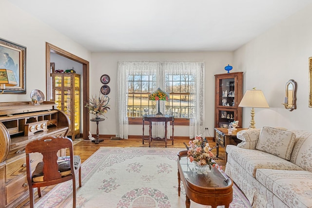 living room with hardwood / wood-style flooring