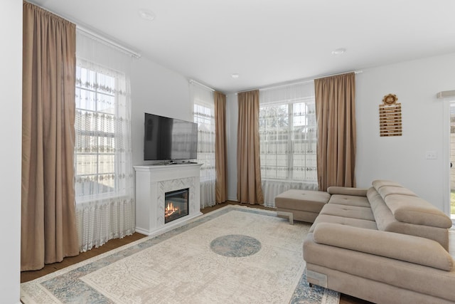 living room with plenty of natural light, a high end fireplace, and hardwood / wood-style floors