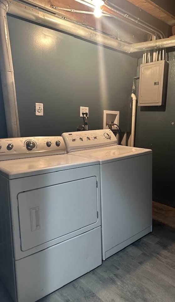 laundry room featuring wood-type flooring, electric panel, and washing machine and clothes dryer