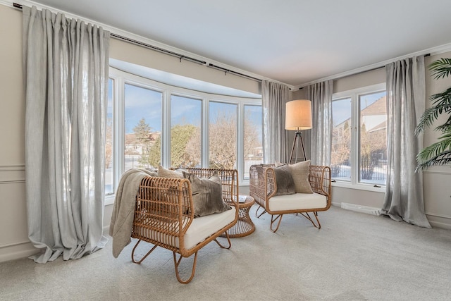 sitting room with carpet flooring