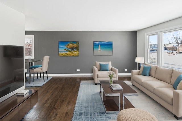 living room with hardwood / wood-style floors