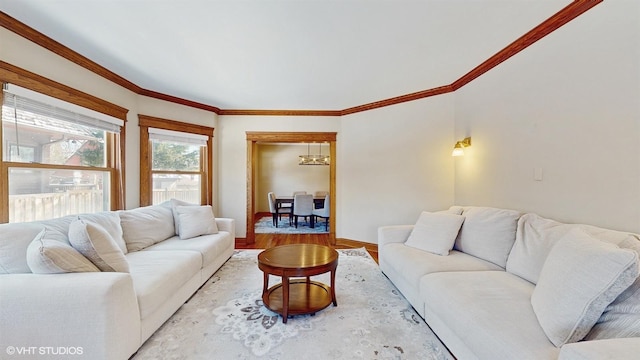 living room featuring ornamental molding and wood-type flooring