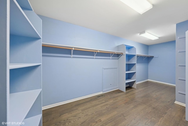 spacious closet featuring dark wood-type flooring