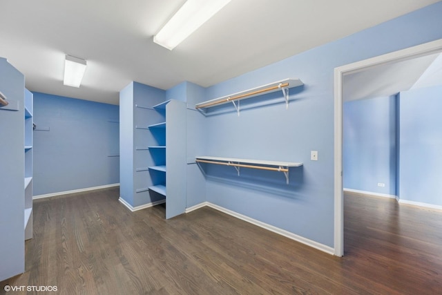 spacious closet with dark hardwood / wood-style flooring