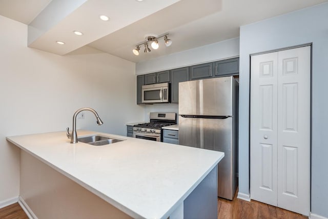 kitchen featuring sink, gray cabinets, appliances with stainless steel finishes, dark hardwood / wood-style floors, and kitchen peninsula