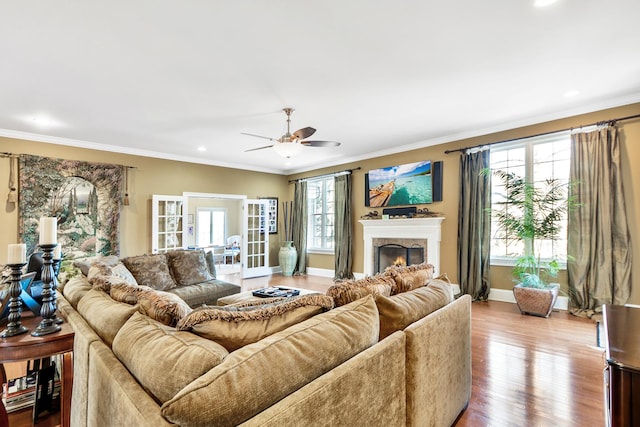 living room featuring ornamental molding, ceiling fan, and light wood-type flooring