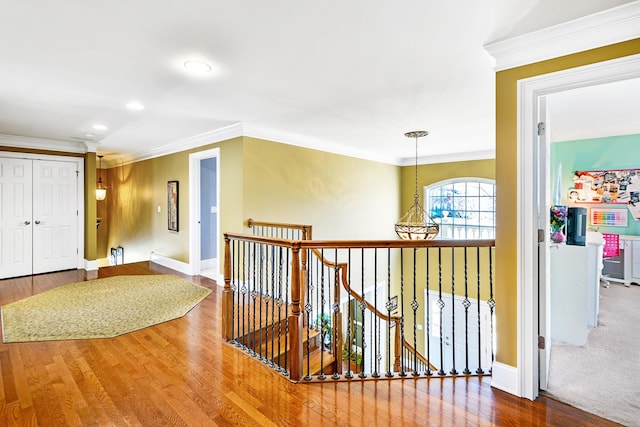 hallway with hardwood / wood-style floors and ornamental molding