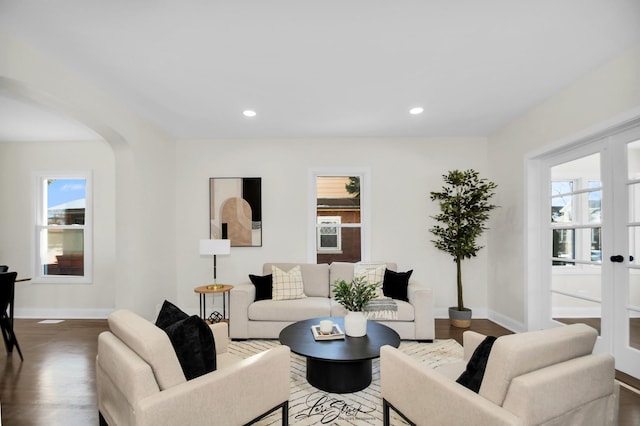 living room with a healthy amount of sunlight and wood-type flooring