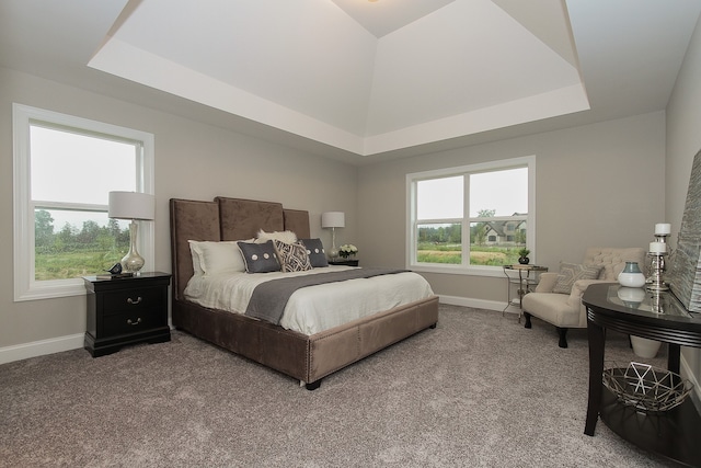 bedroom with carpet floors and a tray ceiling