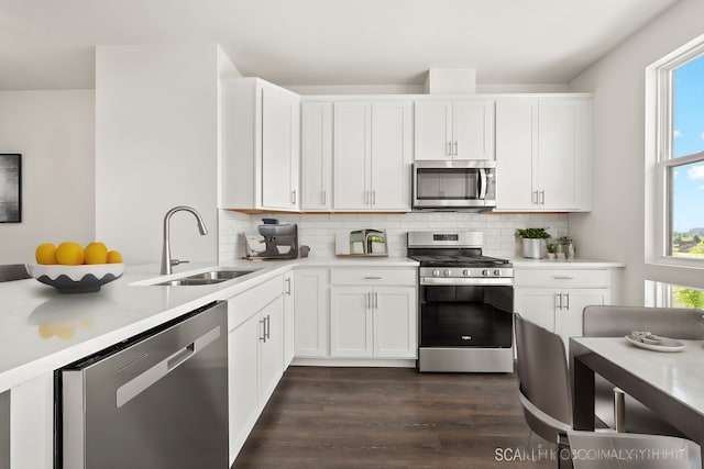 kitchen featuring white cabinetry, sink, dark wood-type flooring, stainless steel appliances, and backsplash