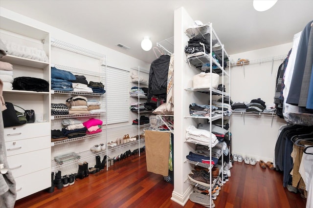 walk in closet featuring dark hardwood / wood-style flooring