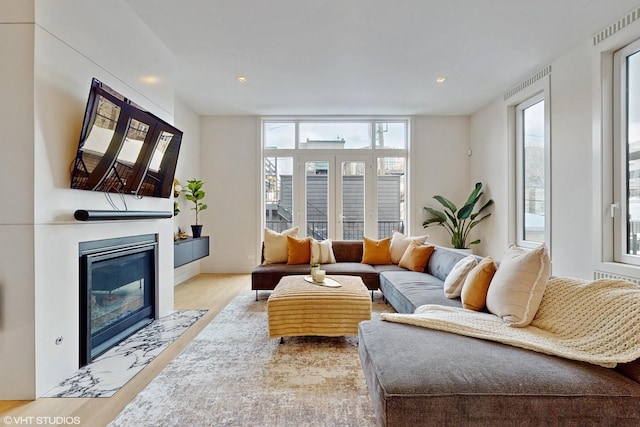 living room featuring light wood-type flooring and a healthy amount of sunlight