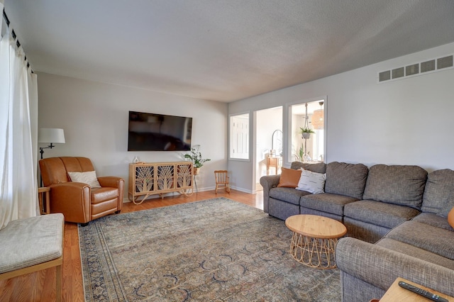 living room with wood-type flooring and a textured ceiling