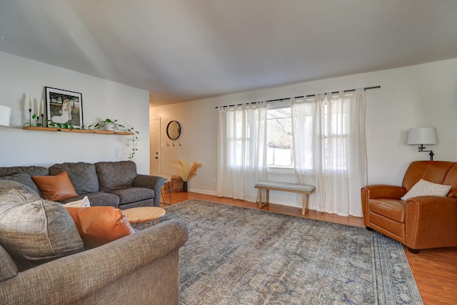 living room with hardwood / wood-style floors