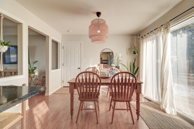 dining space featuring light hardwood / wood-style flooring