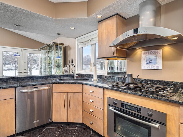 kitchen with decorative light fixtures, island range hood, a healthy amount of sunlight, and appliances with stainless steel finishes