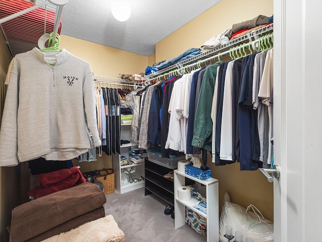 spacious closet featuring carpet flooring