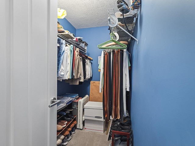 walk in closet with carpet floors