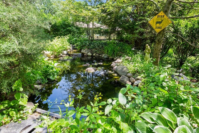 view of nature featuring a small pond