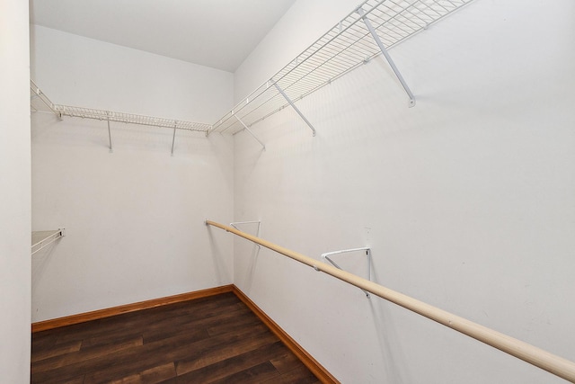 walk in closet featuring dark wood-type flooring