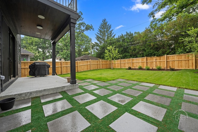 328 S Loomis St, Naperville, IL 60540 - fenced backyard with a patio