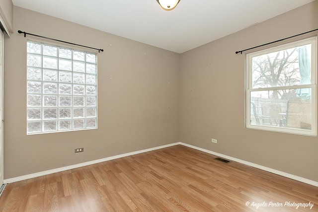 spare room featuring a healthy amount of sunlight and light wood-type flooring