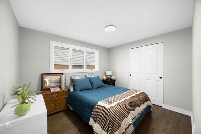 bedroom featuring dark wood-type flooring