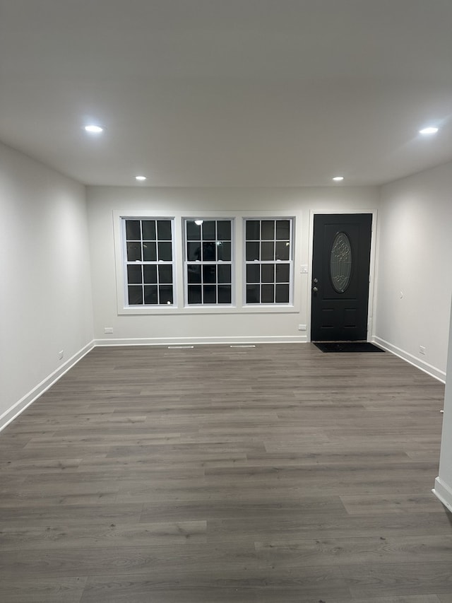 entrance foyer featuring dark wood-type flooring