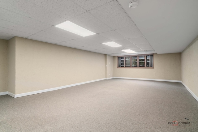 basement featuring carpet floors and a drop ceiling