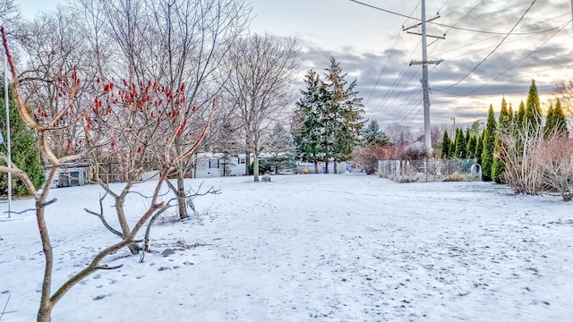 view of yard covered in snow