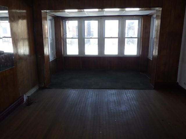 empty room with dark wood-type flooring, plenty of natural light, and wooden walls