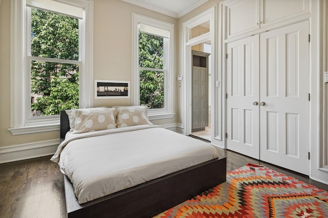 bedroom with dark hardwood / wood-style floors, a closet, crown molding, and multiple windows