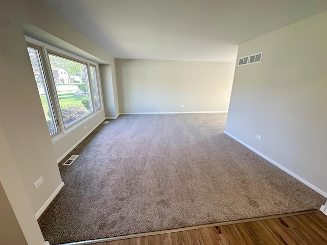 empty room featuring carpet