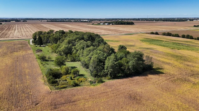 aerial view with a rural view