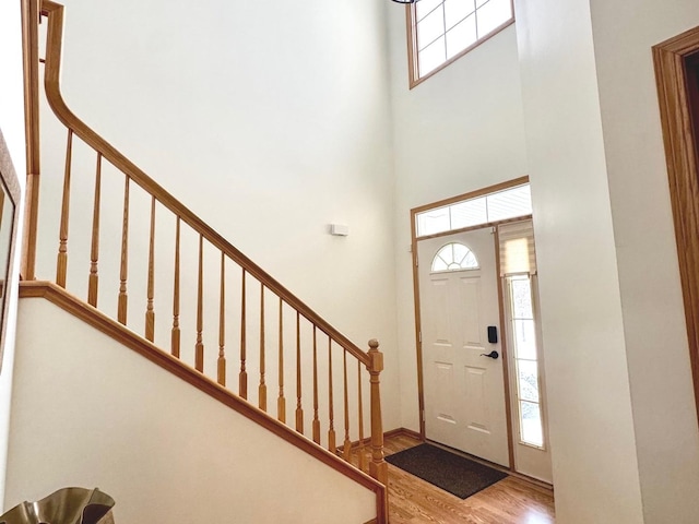 foyer featuring hardwood / wood-style floors, a healthy amount of sunlight, and a high ceiling