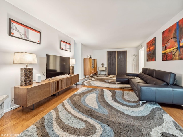 living room with hardwood / wood-style floors