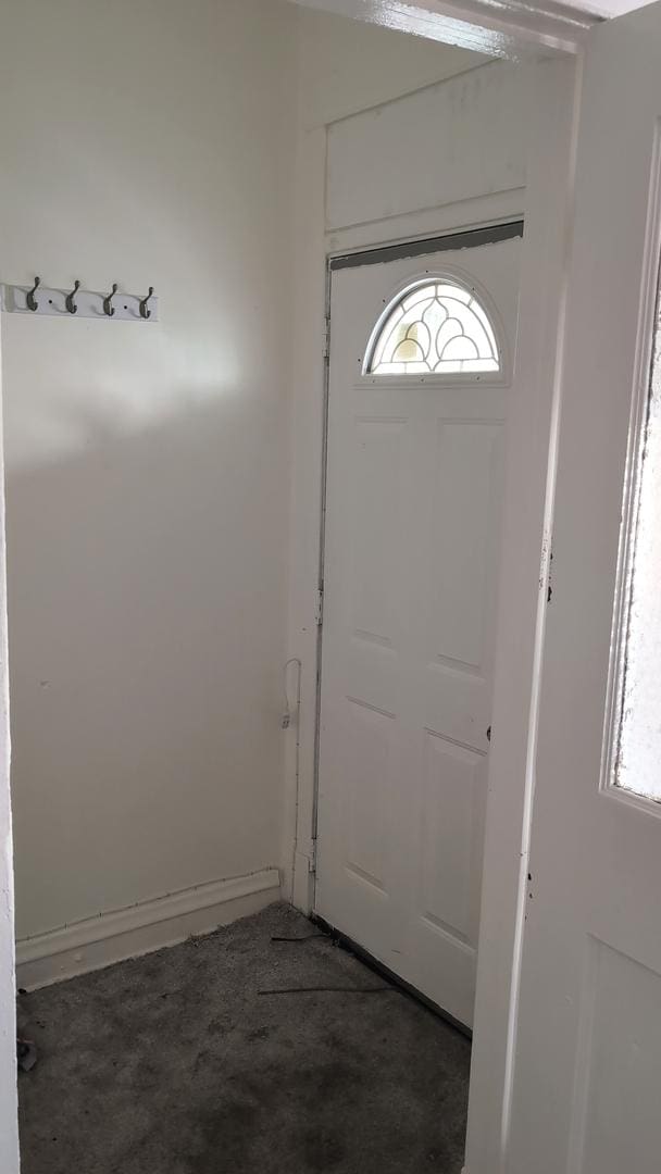 foyer entrance featuring a wealth of natural light