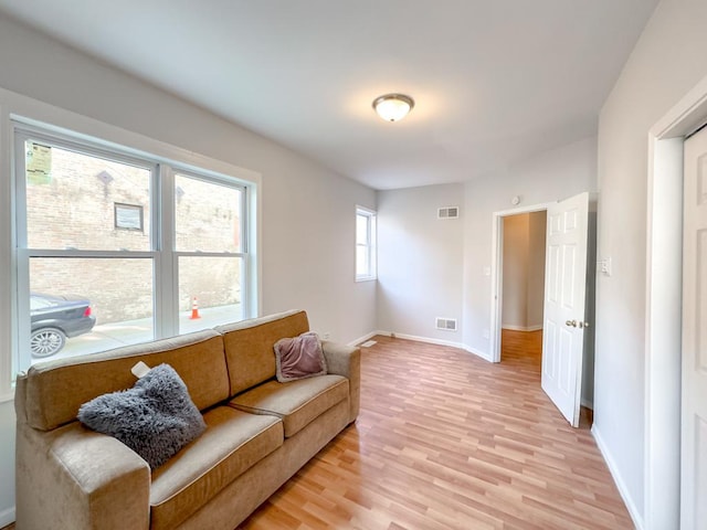 living room featuring wood-type flooring