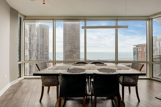 dining area featuring hardwood / wood-style floors, a water view, a wall of windows, and a healthy amount of sunlight