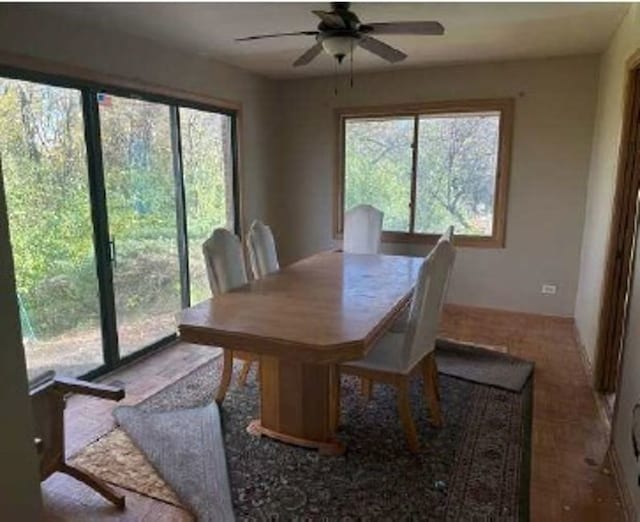 dining room featuring a wealth of natural light and ceiling fan