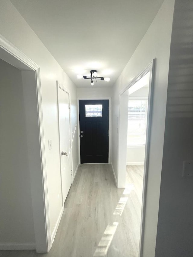 doorway to outside with light hardwood / wood-style flooring and a healthy amount of sunlight