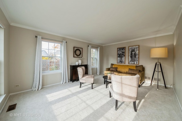 living room featuring carpet flooring and crown molding