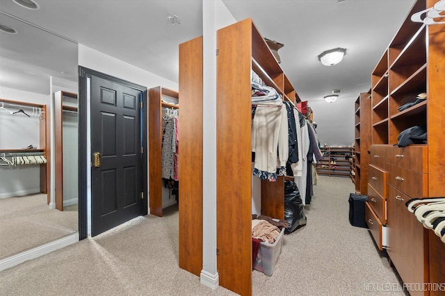 walk in closet with light colored carpet