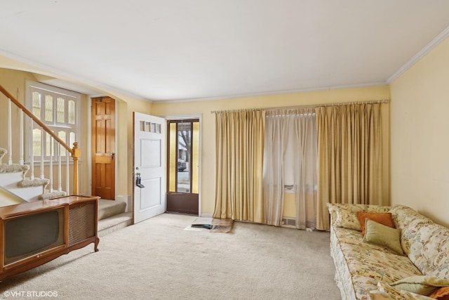 living area featuring crown molding and light carpet