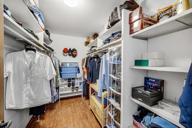 spacious closet with wood-type flooring