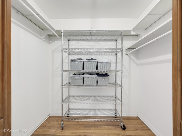 spacious closet featuring wood-type flooring