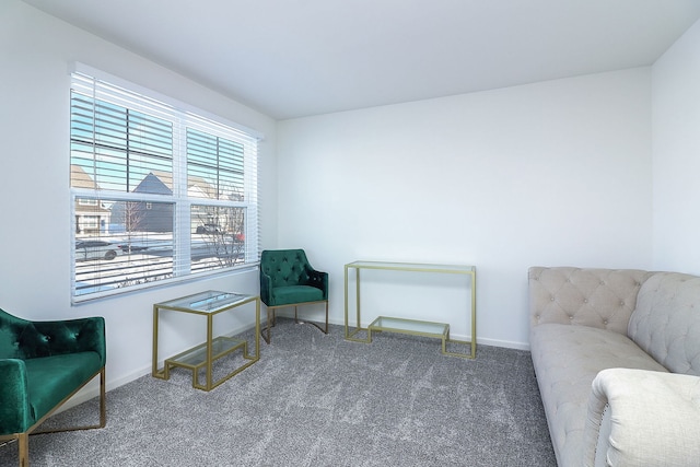 sitting room with carpet floors