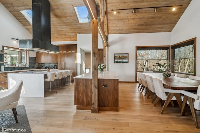 kitchen with a skylight, island range hood, high vaulted ceiling, and light hardwood / wood-style flooring